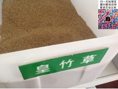 買皇竹草多少錢一斤合算？